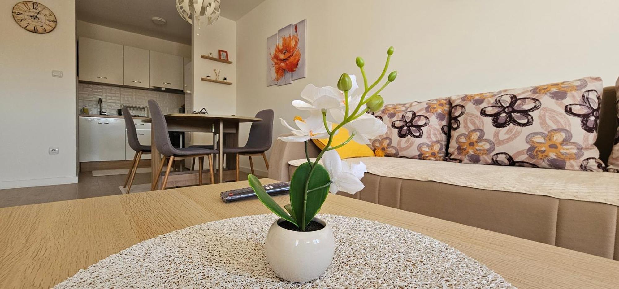 Apartman Vukota 2 ピロト エクステリア 写真