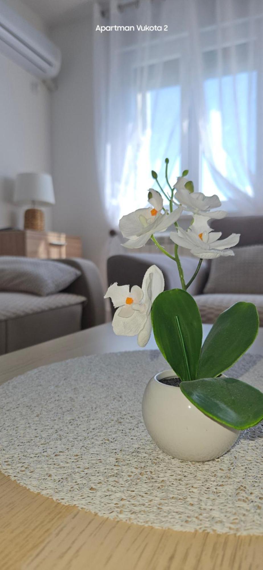 Apartman Vukota 2 ピロト エクステリア 写真